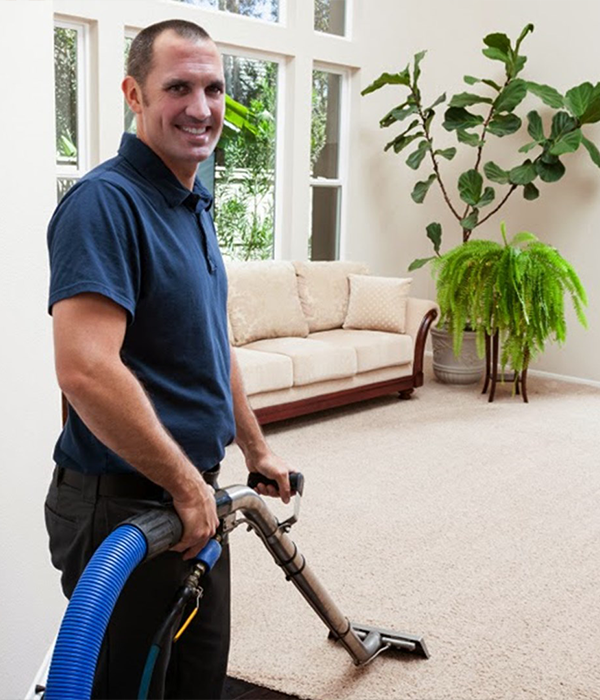 deep clean your carpet